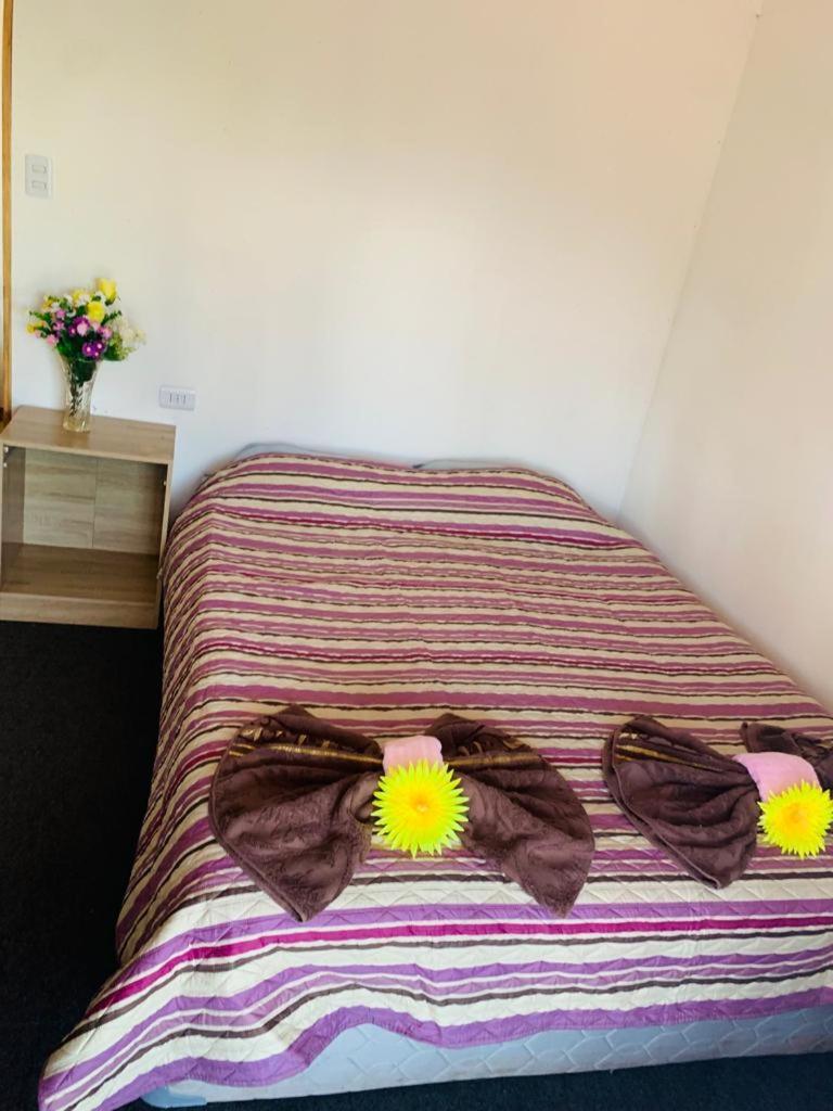 Pua Vaenga Hostel Hanga Roa Kültér fotó
