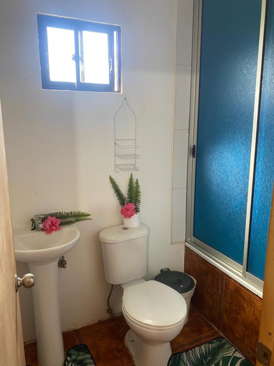 Pua Vaenga Hostel Hanga Roa Kültér fotó